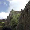 Macchu Picchu 038